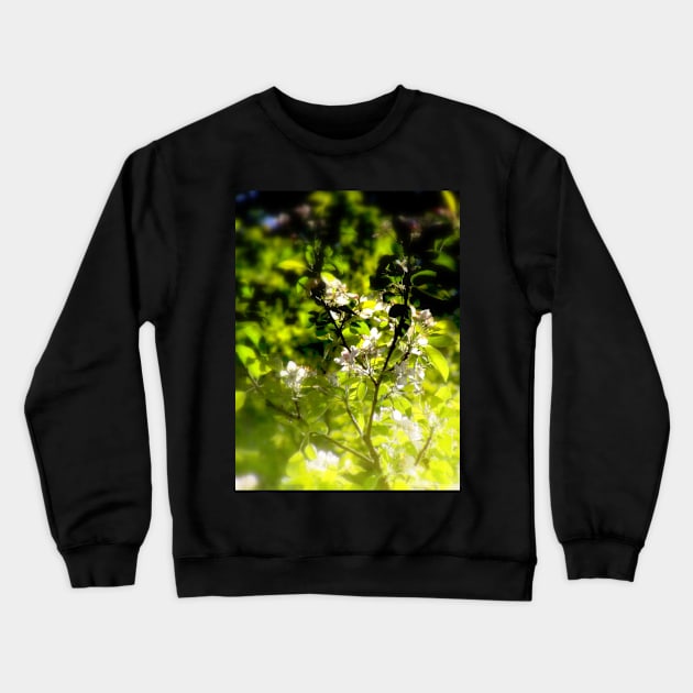 apple blossoms #1 Crewneck Sweatshirt by DlmtleArt